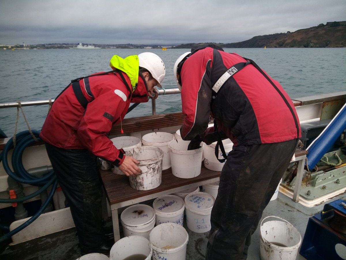 RV MBA Sepia tweet media