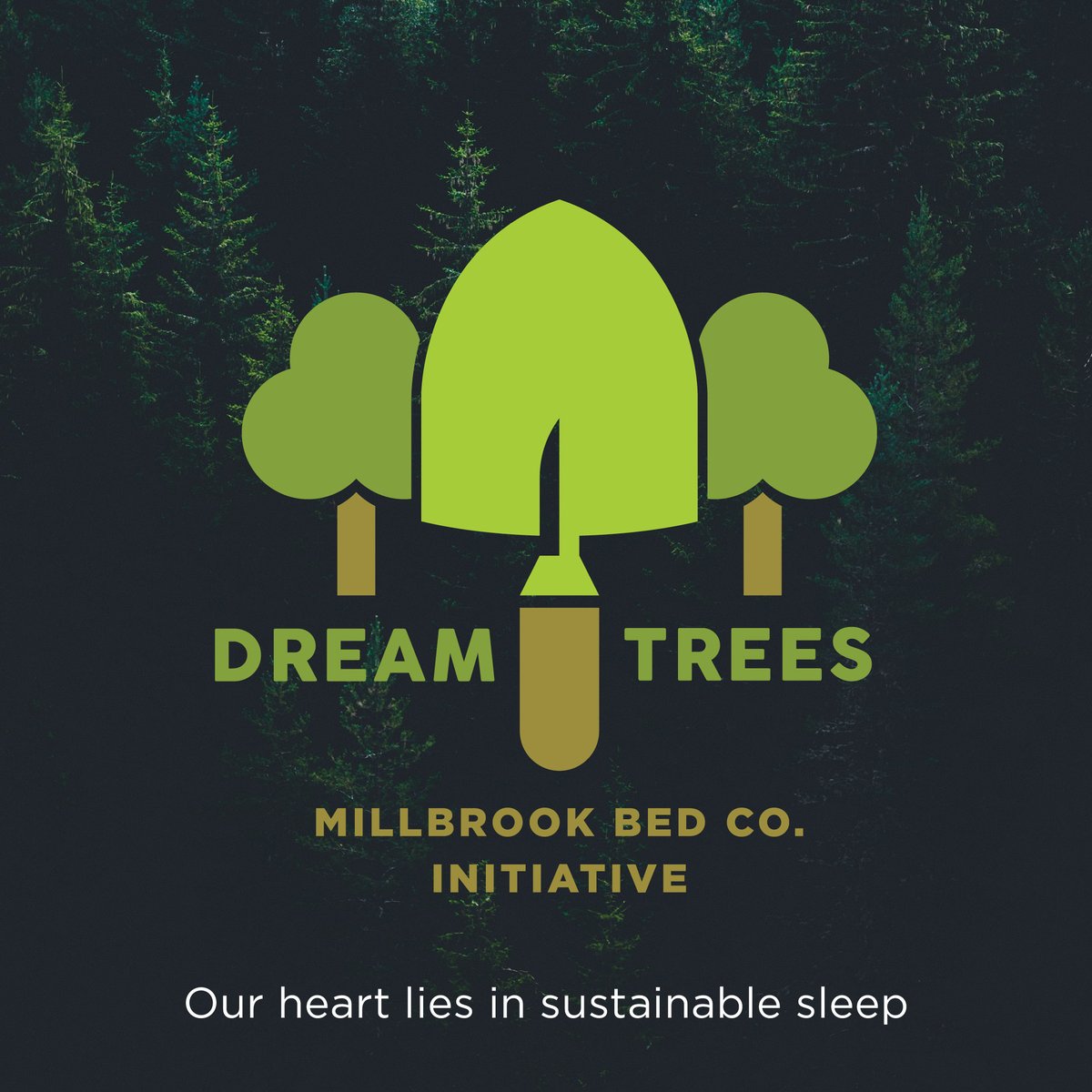 Working with the Woodland Trust, and our Dream Trees Initiative, we pledge to plant a tree for every mattress featuring  NemoFlex™ 💙 sold, supporting the creation, protection and restoration of UK woodland. 🌳

#sustainable #sleep