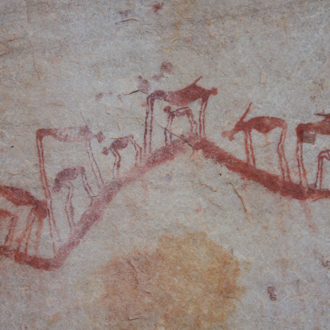 Southern Africa is hailed as the cradle of humanity, a fact easily driven home by the ancient rock art sites to be discovered on Bushmans Kloof. 

#BushmansKloof  #MakeTravelMatter 
ow.ly/fySJ50HFbVG