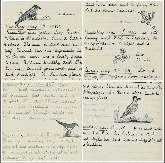 Are you taking part in the RSPB’s ‘Big Garden Birdwatch’ this year? Here’s some inspiration from a nature studies book from our Glyndwr collection.

rspb.org.uk/get-involved/a…

#rspg #NorthEastWalesArchives