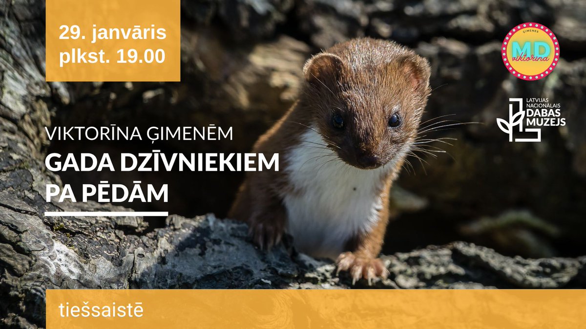 🤔Ko darīt janvāra pēdējā nedēļas nogalē?
🤗Piedalieties viktorīnā, apmeklējiet koncertu vai radošu meistarklasi, dodieties izzinošā pārgājienā vai veselīgā ekskursijā.

👉 Iedvesmu aktivitātem meklējiet šeit: ej.uz/mohb 

#GodaĢimenesKarte #GodaĢimenesAplieciba