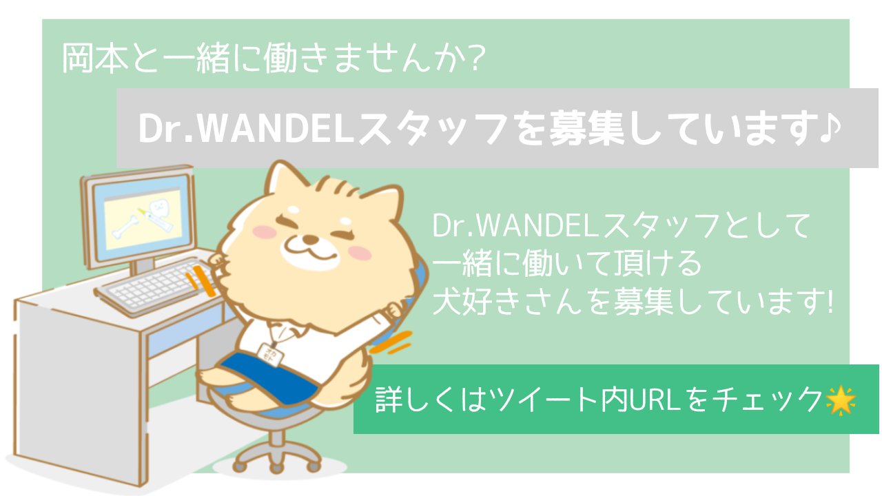 Dr.WANDEL ドクターワンデル (イヌ用口腔ジェル)