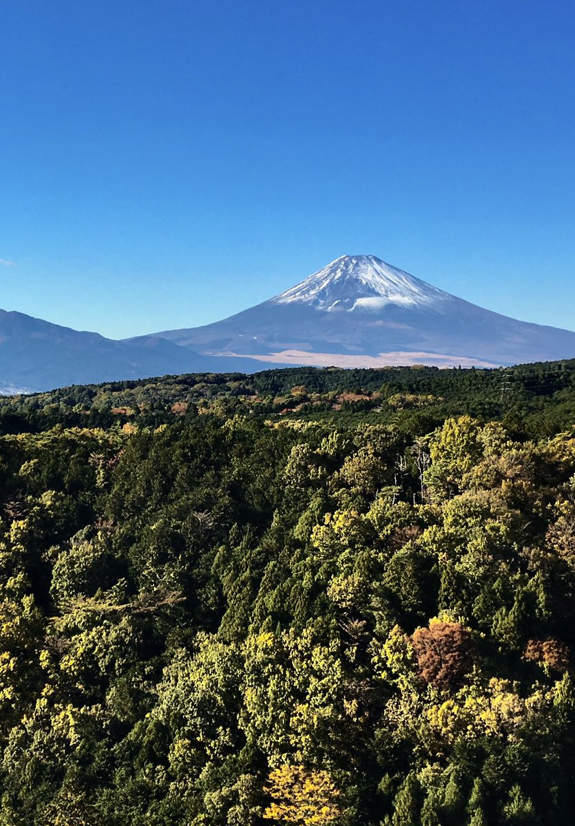 いつもありがとうございます🗻 今日の一枚