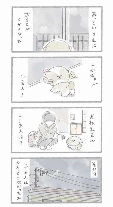 足の悪いご主人とシーズーさん②
#こんにちはいぬです 