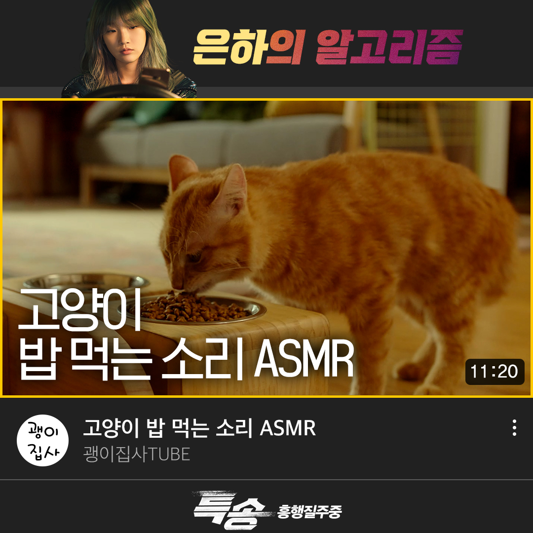 <특송> 캐릭터들의 알고리즘 엿보기👀 경필, 백사장, 두식의 알고리즘은 어떨까요?🤭 극장에서 <특송> 보고, 댓글로 추측해 주세요! #2022년_범죄오락...