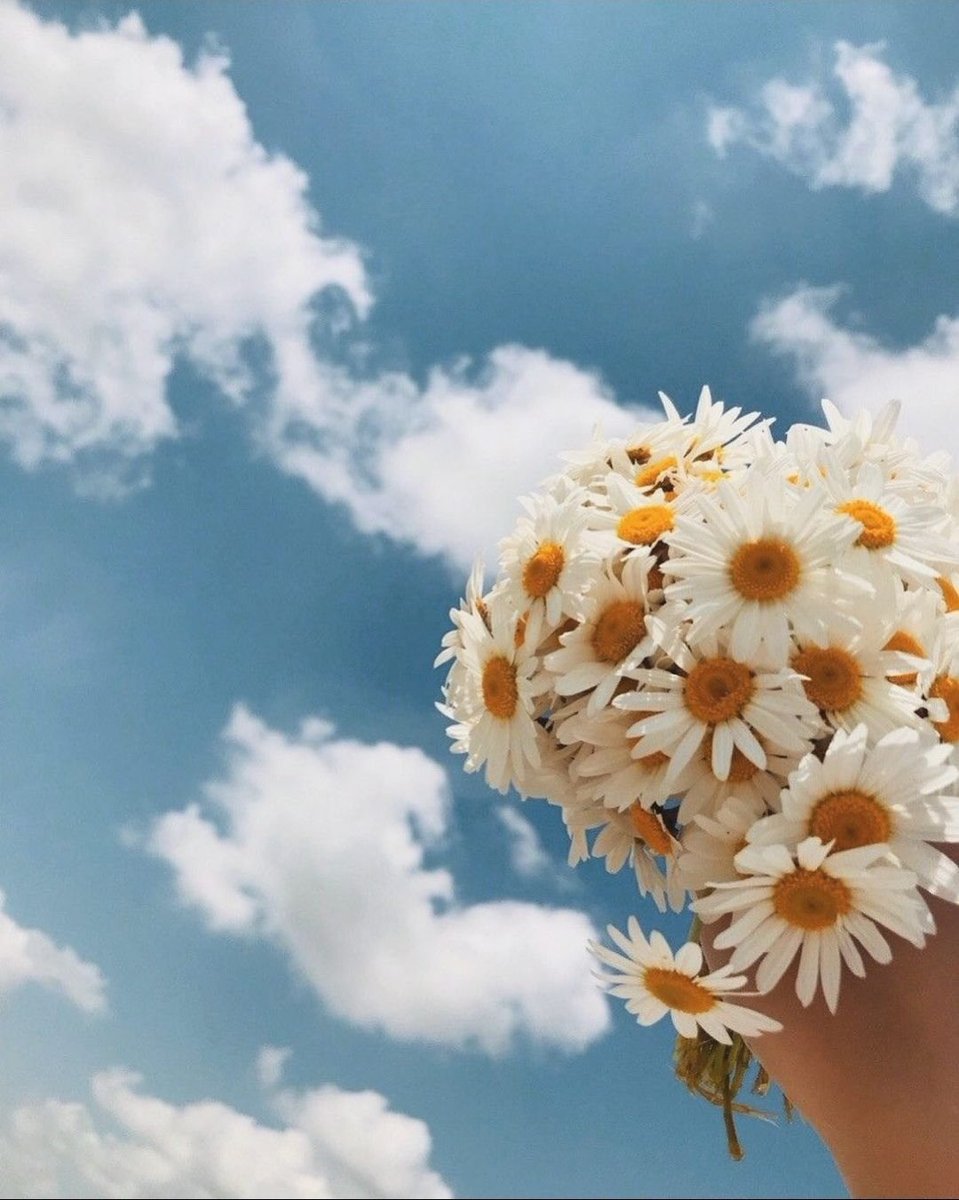 Herkese Mutlu günler 🌼