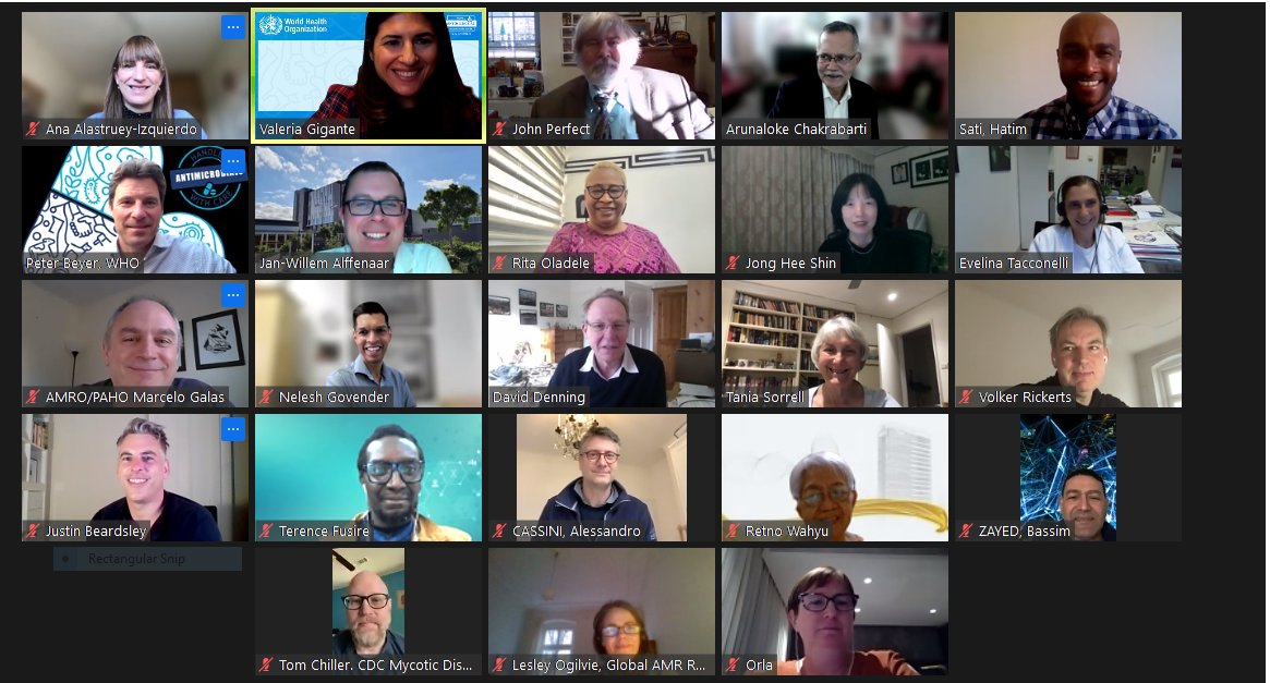 hygetahun's tweet photo. Just concluded: meeting of the @WHO Expert Group on identifying priority fugal pathogens. Thank you for the members for advancing the global participatory process to near finalisation. @WHO will soon release the list with implication for R & D, surveillance and clinical care. https://t.co/DXvBuLOnCi