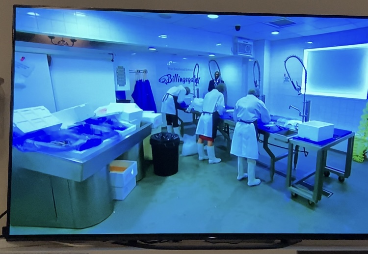 #TheApprentice you saw the candidates trying to prepare their catch of the day at Billingsgate Seafood School, why don't you try our most popular course 'Catch of the Day'!
