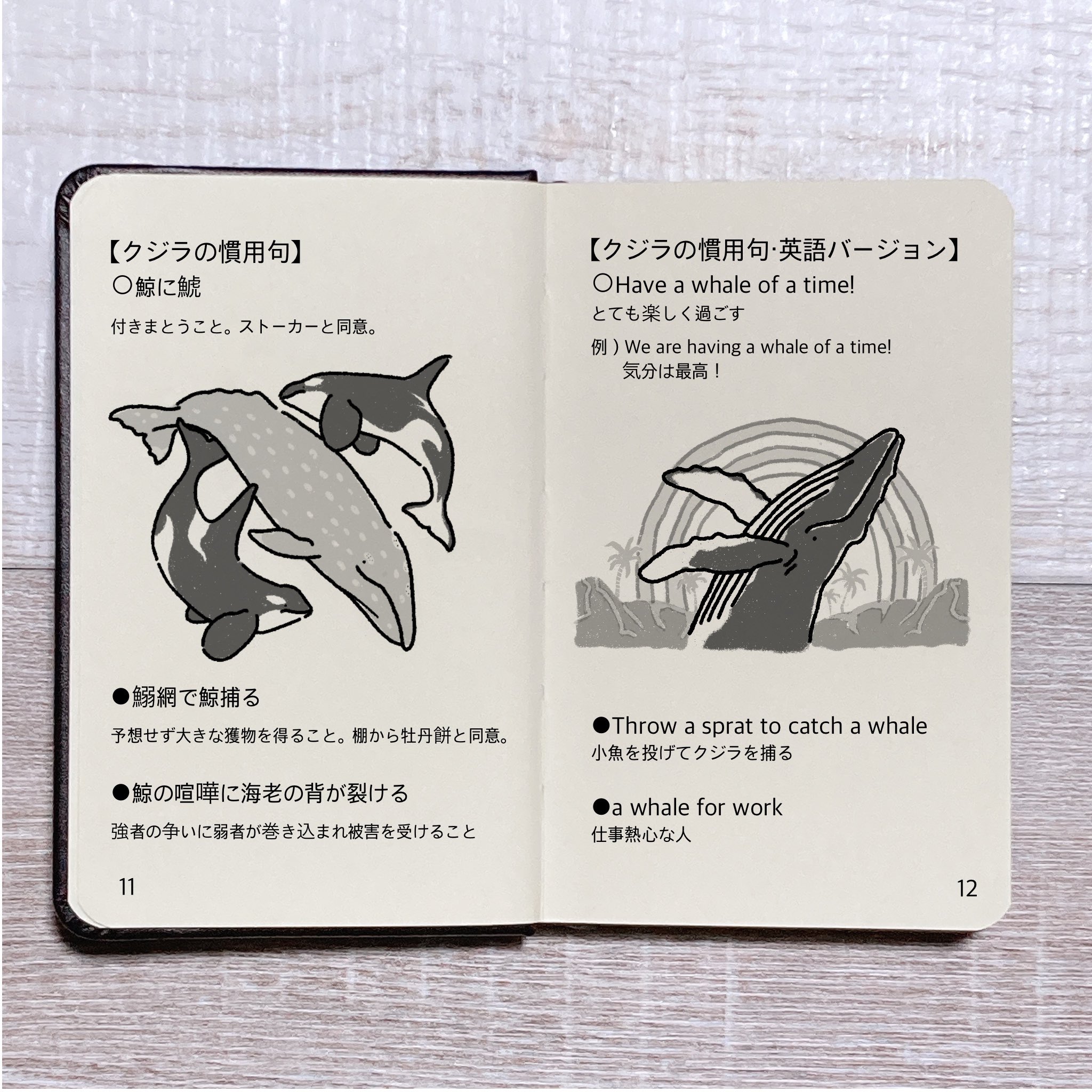 あらたひとむ En Twitter 鯨類 私製辞書 鯨苑 11 12ページ目 クジラの慣用句と英語の慣用句 日本語と英語で同じような意味合いの言葉があるのは面白いですね あらたひとむ 今日は何の日 鯨苑 Whale 今日は何の鯨 鯨 クジラ くじら イルカ シャチ