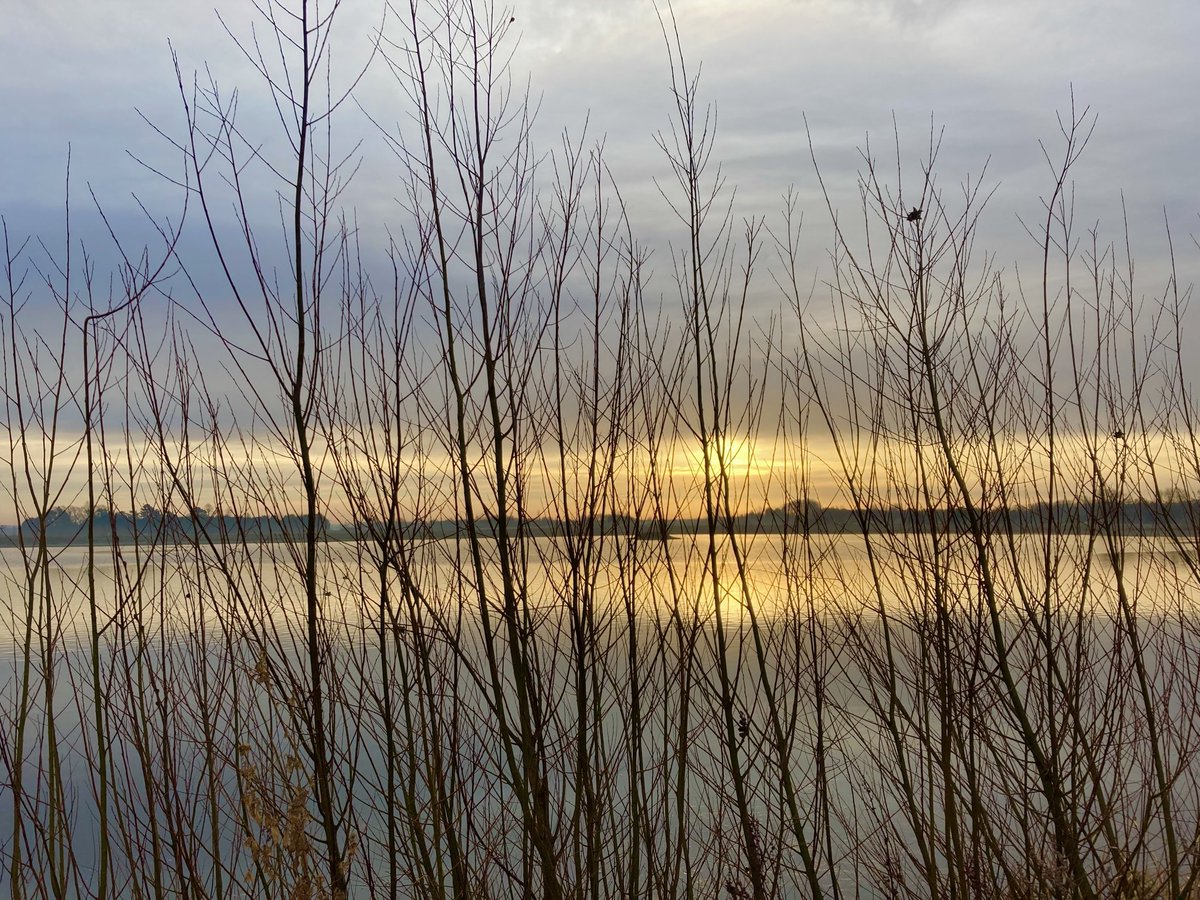 arillustrate's tweet photo. Good morning all #wakeupwalk by the lake #walk https://t.co/Hx9WyTnDcR