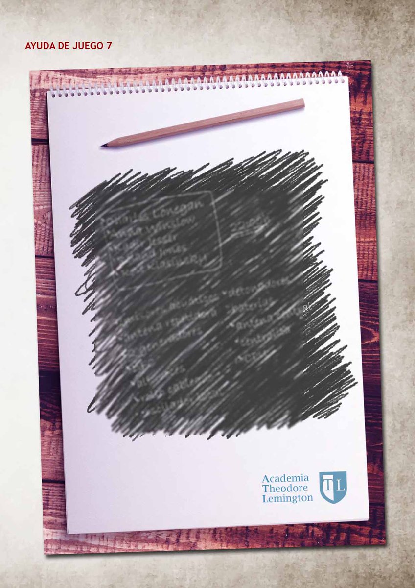 𝓡𝓖 𝓒𝓸𝓵𝓵𝓪𝓷𝓽𝓮𝓼 tweet media