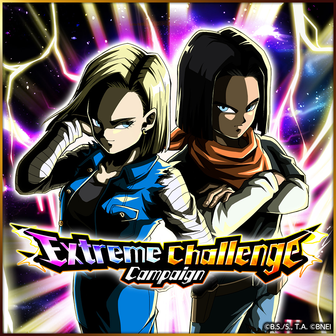 Dragon Ball Z Dokkan Battle tweet media