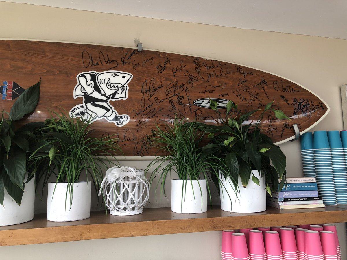 Sach_Brah's tweet photo. I ❤️ Durban. #SharksLife @SharksRugby https://t.co/jo2DnUIFou