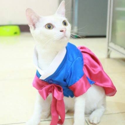 🎎
#Jungsu #정수