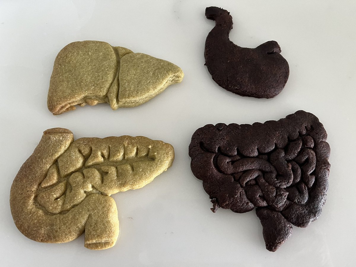 Gastroenterological cookies 😁