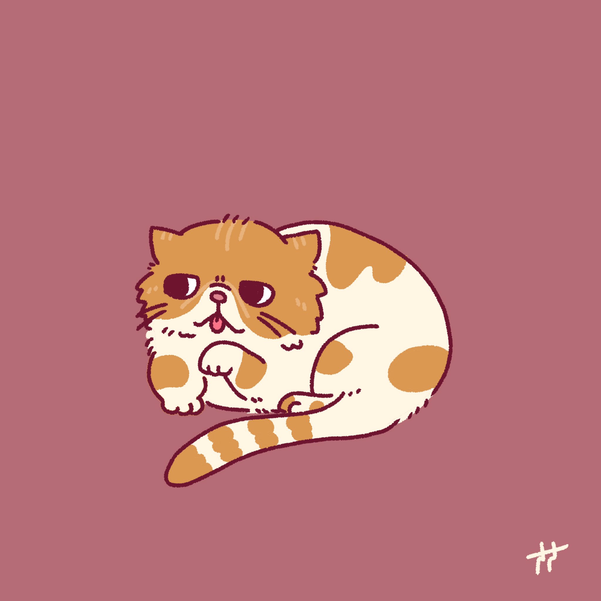 ささ エキゾチックショートヘア イラスト ゆるい絵 一日一絵 動物イラスト T Co Phkd2oc025 Twitter