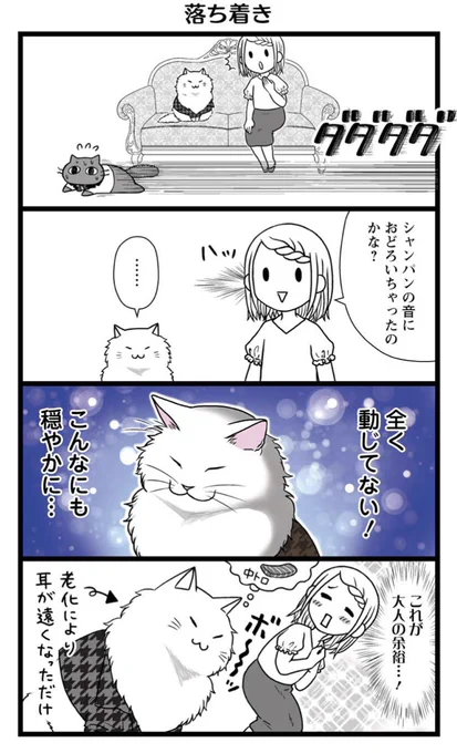 老猫ホスト(16歳) 