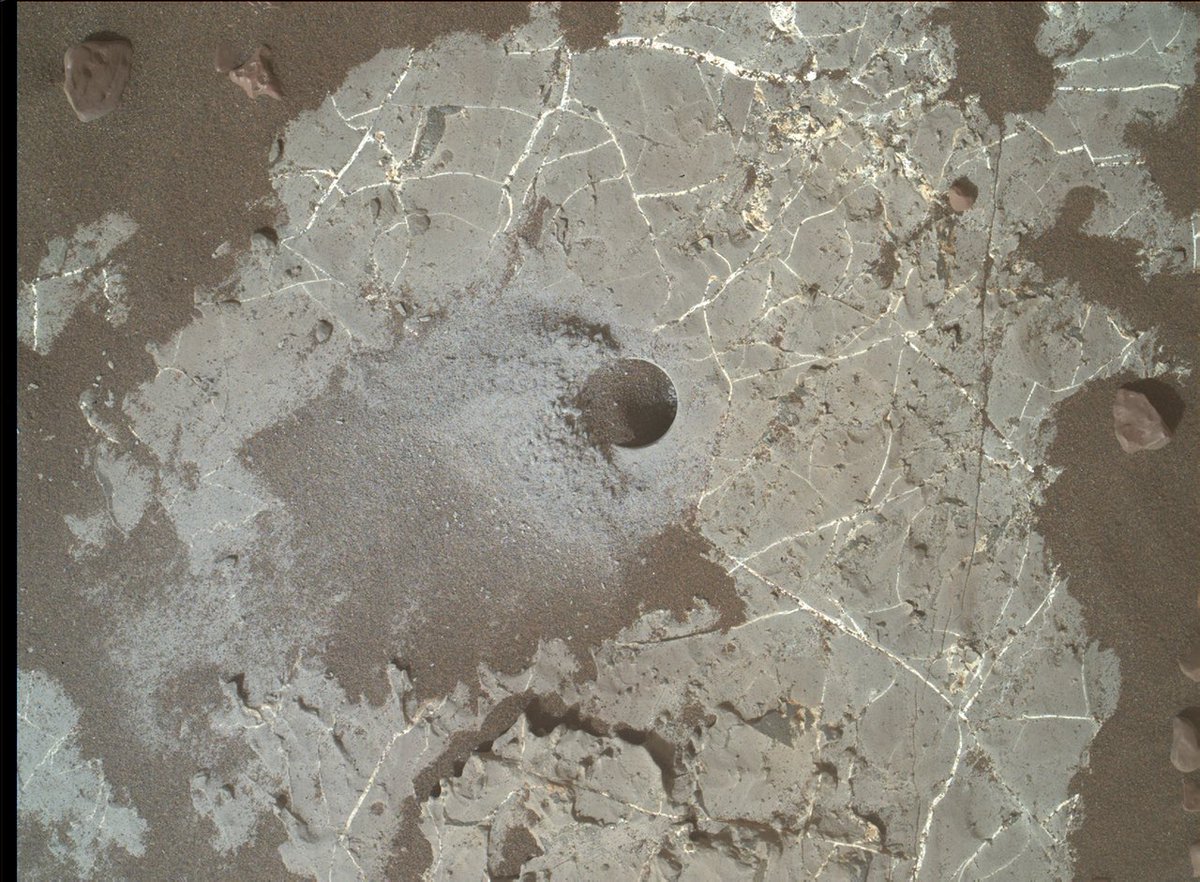 takurodaimaru's tweet photo. NASAの火星ローバー・キュリオシティが分析したサンプルから地球では生物活動と結びつくタイプの炭素を検知！

とはいえ、すぐに地球外生命発見とは断定できません。微生物、光化学反応、星間物質由来などの可能性が議論されています。

これが地球外生命探査の難しいところ。
https://t.co/gPIsjlFSmu https://t.co/p9ewsuQum5