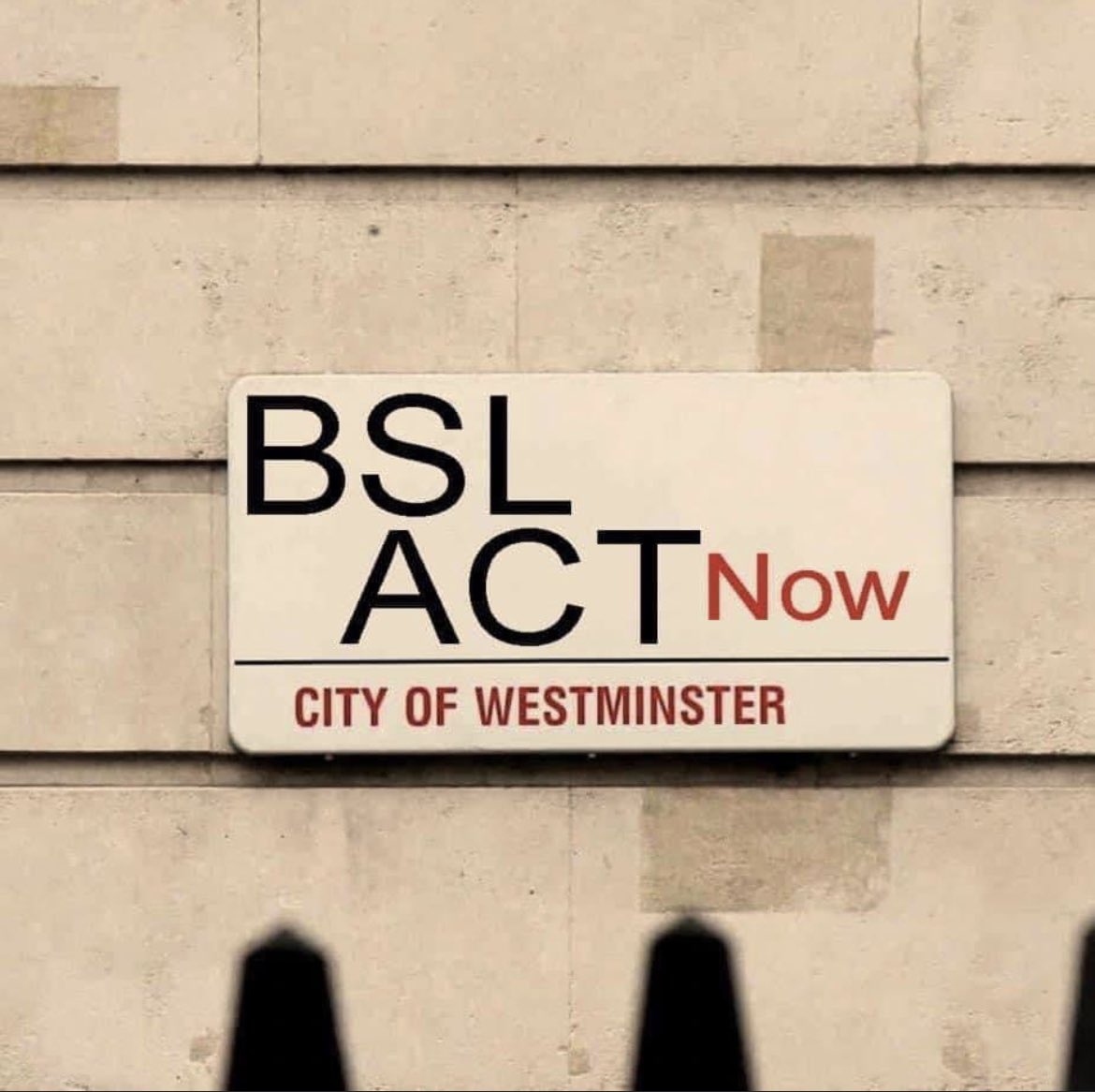 harasnnav's tweet photo. #bslbill march in London today https://t.co/mHeYK5nD1i