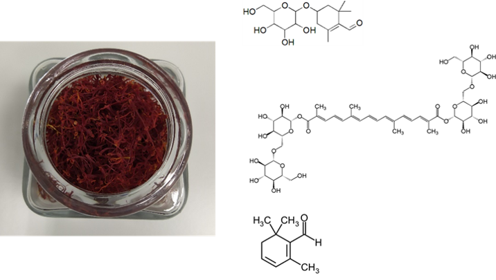ITACYL's tweet photo. #ITACyL trabaja con productores locales de #azafrán en la evaluación del contenido de compuestos asociados con la capacidad de tinción, amargor y aroma en diferentes azafranes producidos en CyL y su impacto en las propiedades bioactivas y sensoriales
#CIdeas #AnálisisSensorial https://t.co/Uj1hHneJH4