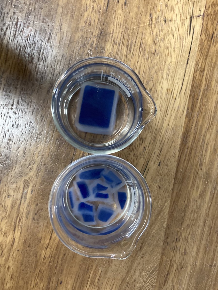 WcbScience's tweet image. Year 10 look at surface area as a factor of diffusion using DCPIP agar in a solution of vitamin C