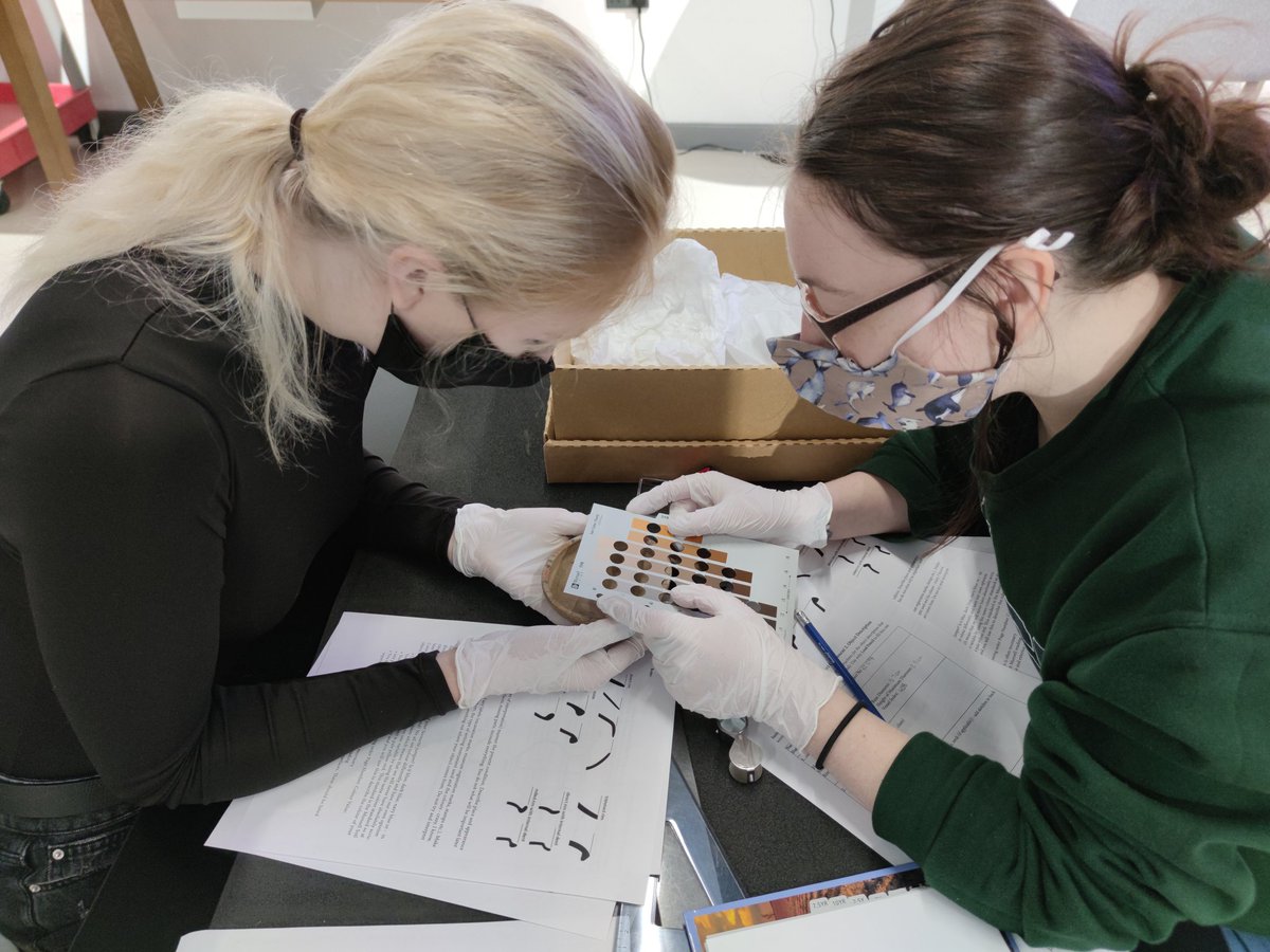 DrKenGriffin's tweet photo. Excited to have started the Swansea University Pottery Project (SUPP), a collaborative project involving myself at @TheEgyptCentre, @cknoblauch31 at @SUAncientWorld, and the #OLCAP research group at @SwanseaUni. Over the next two years, students will be taught a variety of .... https://t.co/xLza9IuHRq