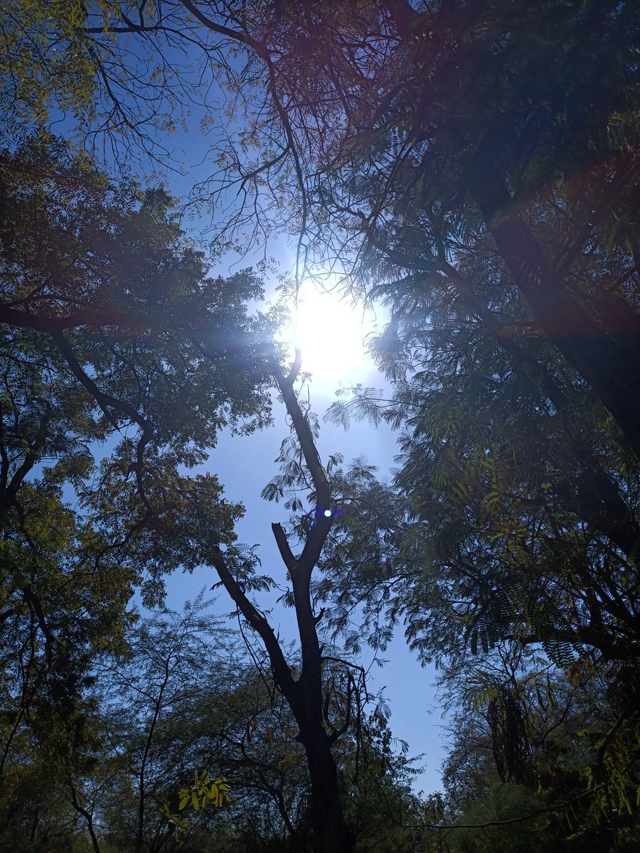Zankar_KS's tweet photo. #HiddenSun 🌞
#MyClick 😎 https://t.co/g1hMGxnUmy