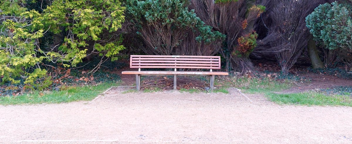 James Molloy (@jpjmolloy) on Twitter photo Bench #bench #hiddenucd #myucd <a href="/UCDLibrary/">UCD Library</a> <a href="/ucddublin/">University College Dublin</a> <a href="/UCDEstates/">UCD Estate Services</a> <a href="/UCD_Engage/">Culture & Engagement</a> <a href="/UCD_SPC/">UCD Staff Photography Club</a> Bench #bench #hiddenucd #myucd <a href="/UCDLibrary/">UCD Library</a> <a href="/ucddublin/">University College Dublin</a> <a href="/UCDEstates/">UCD Estate Services</a> <a href="/UCD_Engage/">Culture & Engagement</a> <a href="/UCD_SPC/">UCD Staff Photography Club</a>