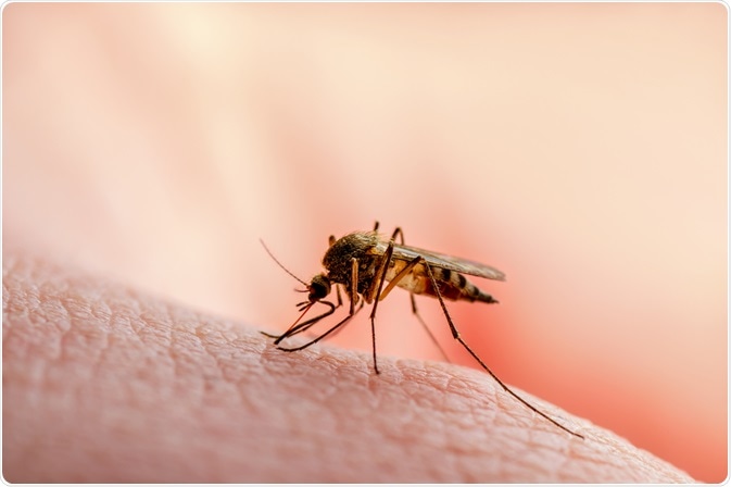 LJMU's tweet photo. Read about our anti-Malaria technology with @LSTMnews @iiconNW @rinkimdeb @ljmufet @patryk_dr #LJMUResearch #LJMUImpact

https://t.co/itebENa7Mu https://t.co/nAv5WXs34p