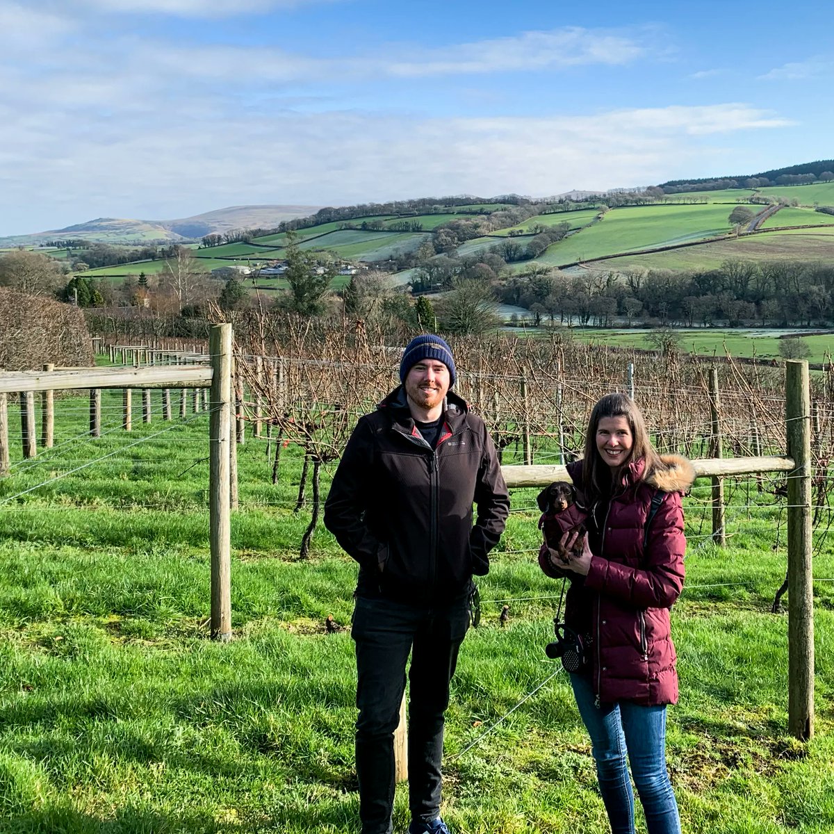 🍇 Winter #vineyardtours are back in full swing! Join us for a walk in the vines to see the winter care that gets our vines ready for the growing season. Plus join us in the #winery to see last years harvest as it makes it's way to the bottle. 

bit.ly/3KKHlnE