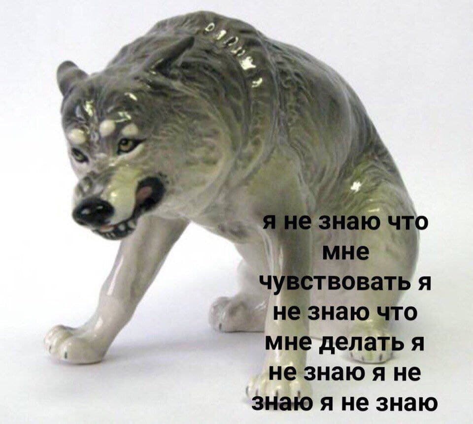 RussianMemesLtd's tweet image. I don't know what to feel
I don't know what to do
I don't know I don't know I don't know