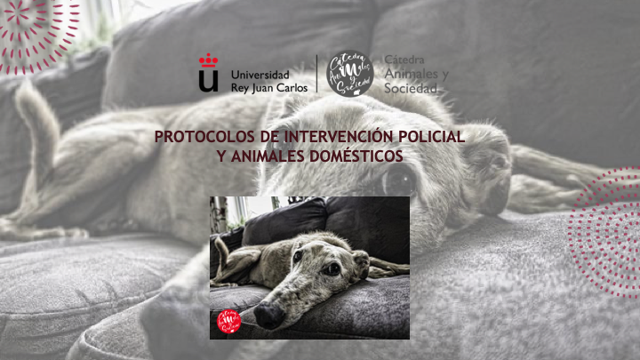 CATanisoci's tweet photo. .@David_crimi,criminólogo y Policía Municipal de @PoliciaAlcorcon,en su artículo para nuestro #viernesdeblog,nos habla del vínculo entre la violencia hacia los animales y la violencia de género y la importancia de fijar protocolos policiales que incluyan a los animales domésticos https://t.co/YJblqqWXvK