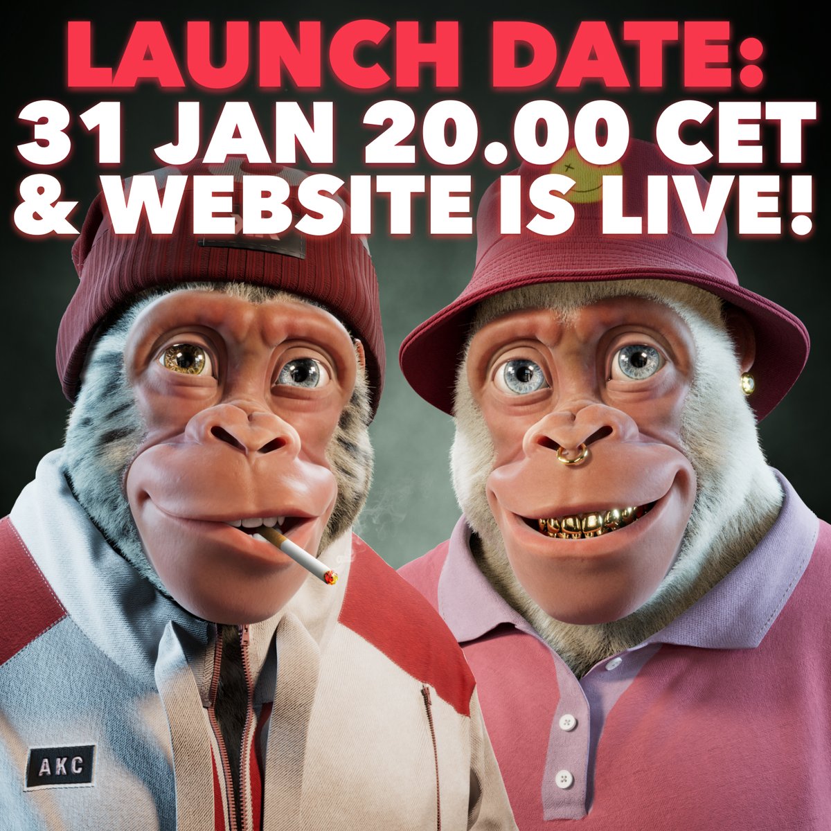 BIG NEWS: We are doing our raffle on Monday, the 31st of January, 20.00 CET, 14.00 EST! 🚀

Check out our website: alphakongsclub.com and let us know what you think! 👀

Two people that retweet will get a whitelist spot. ❤️