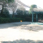 逆に味が出てる!？エビフライ1本のみで勝負してる公園w
