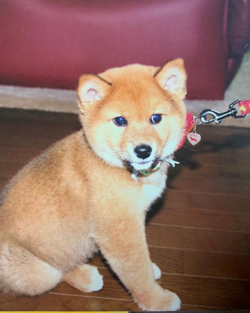 なんか今日は一日中そわそわして落ち着きない自分