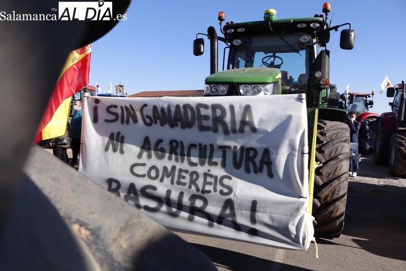📢 "Sin ganadería ni agricultura comeréis basura". Aquí tienes las FOTOS de la tractorada de Salamanca

➡️ bit.ly/3Hc6xRx
