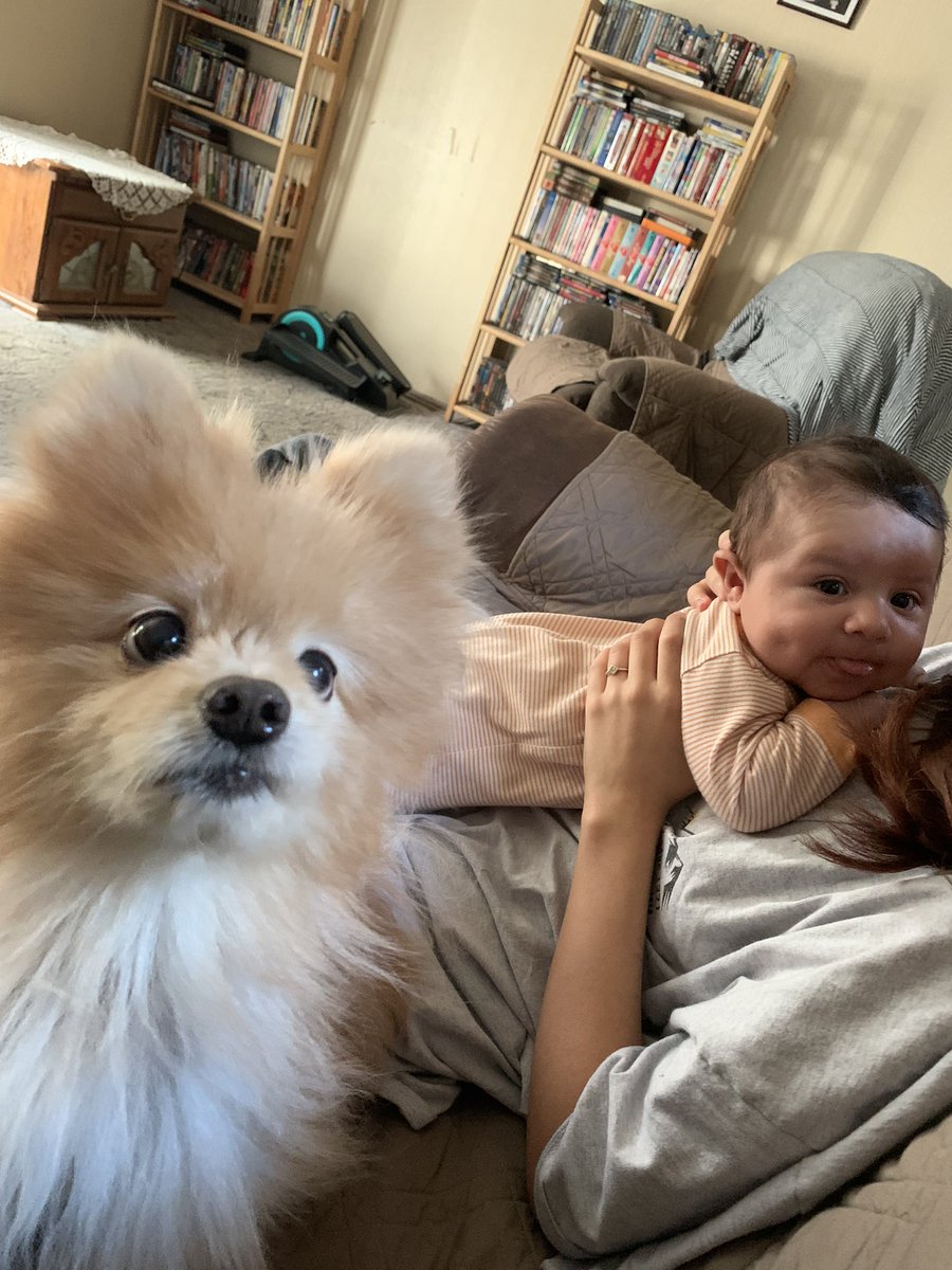 luuuccee's tweet photo. this is elyjahs first appearance on twitter!! give him some likes!! he smells like moldy chocolate milk and sweat🤗‼️

(no this is not my child it is my sisters) https://t.co/nDHpu66yFb