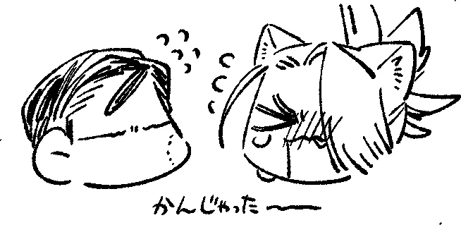 SHINTAKE 
