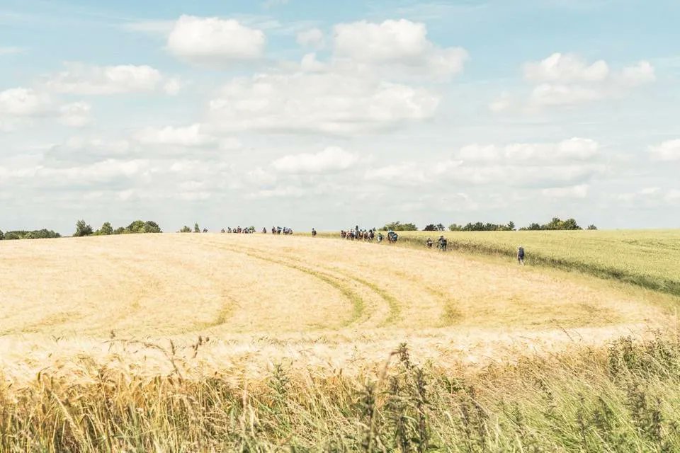 Une randonnée de 2 jours, départ et arrivée via RER C. Ca vous tente ? 🌲

👉  buff.ly/2Lbs97f

#rando #rerc <a href="/VisitParisIdf/">Paris Tourisme</a> <a href="/pnrchevreuse/">PNR Chevreuse</a> <a href="/Actu_Transilien/">Transilien SNCF Voyageurs</a> <a href="/RERC_SNCF/">RER C</a>