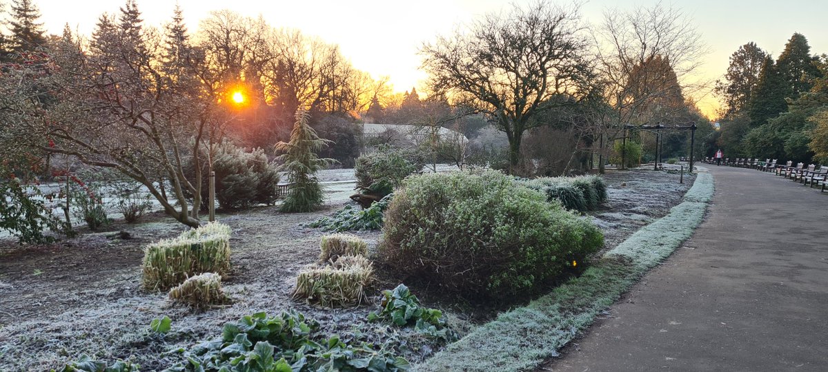 chrissoalarch8's tweet image. Bit dreary on my early morning walk before WFH @info_specific today. Sharp contrast to last Friday's early morning #SolarSnaps