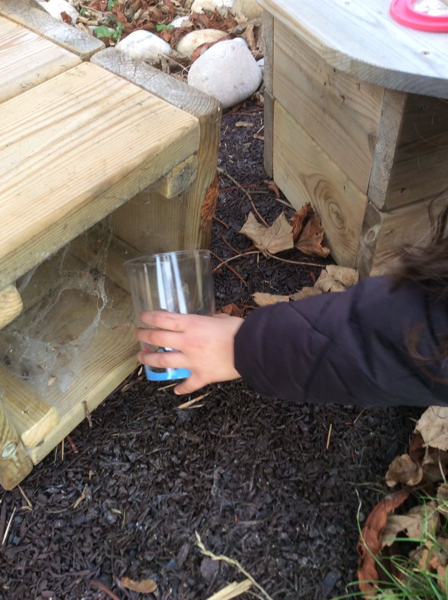 Mr Rowlatt tweet media