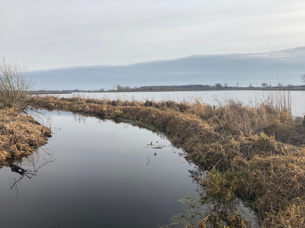 Had the chance to visit #Misson reservoir/wash lands today. Was great to see the area and understand how the reservoir helps flood risk and biodiversity. Please check out our new website full of useful information about the river #Idle #RiverIdle
consult.environment-agency.gov.uk/east-midlands/…