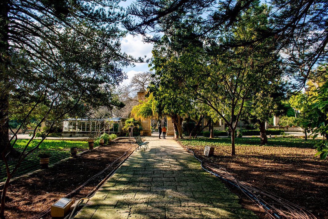 Sostenibilità tweet media