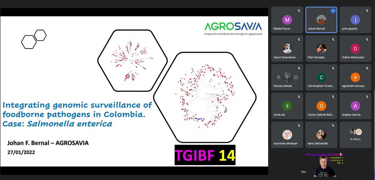 Very enjoyable 14th TGIBF (Thank Goodness It's Bioinformatics Friday) session today - sharing genomic AMR surveillance results across all the GHRU units and learning together. Today there were 20 participants from <a href="/RITMPH/">RITM-DOH</a> <a href="/SomosAGROSAVIA/">AGROSAVIA</a> <a href="/CentralResearc2/">Central Research laboratory-KIMS</a> <a href="/UniIbadan/">University of Ibadan</a> <a href="/TheCGPS/">Centre for Genomic Pathogen Surveillance</a>