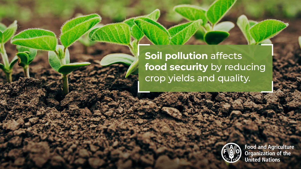 FAO's tweet photo. Soil pollution affects:

🍲the food we eat
💧 the water we drink
🌬️ the air we breathe
🏋️‍♀️our health
 🌱the health of all organisms on the planet

#StopSoilPollution https://t.co/oCbcNcfoLf