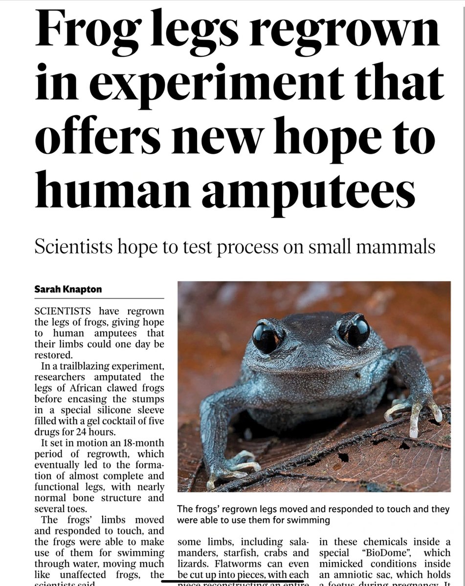 Ciaran Cunningham tweet media