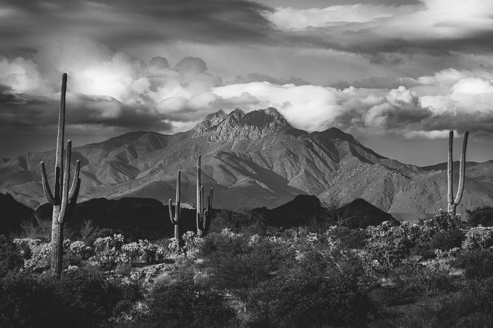 tr3anor's tweet photo. @bypip Thanks for the opportunity! I hope someone enjoys my B&amp;W shot of the Arizona desert: https://t.co/b6LEV4Sm0R https://t.co/CgQ2o0G2Yi