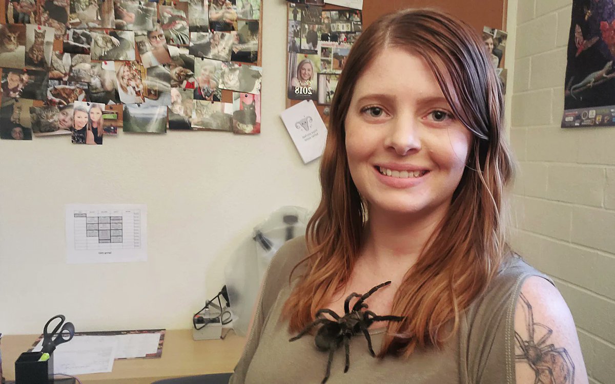 ATCOFA's tweet photo. Our very own "spider lady" and doctoral student Ashley Wahlberg is featured in @TexasMonthly to discuss her passion for all things arachnid. https://t.co/eZLLK0Qfbc #womeninSTEM https://t.co/c8Inkv0FvX
