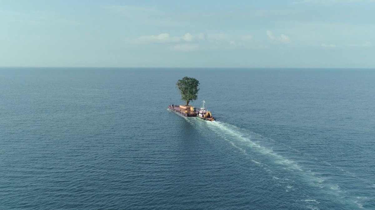 radiantcircus's tweet image. Our choice of this week&apos;s new releases:

PARALLEL MOTHERS (Pedro Almodóvar, 2021)

SOUTH: SIR ERNEST SHACKLETON’S GLORIOUS EPIC OF THE ANTARCTIC (Frank Hurley, 1919)

TAMING THE GARDEN (Salomé Jashi, 2021)

Find what&apos;s on in our #ScreenGuide for London:
radiantcircus.com/screen-guide-w…