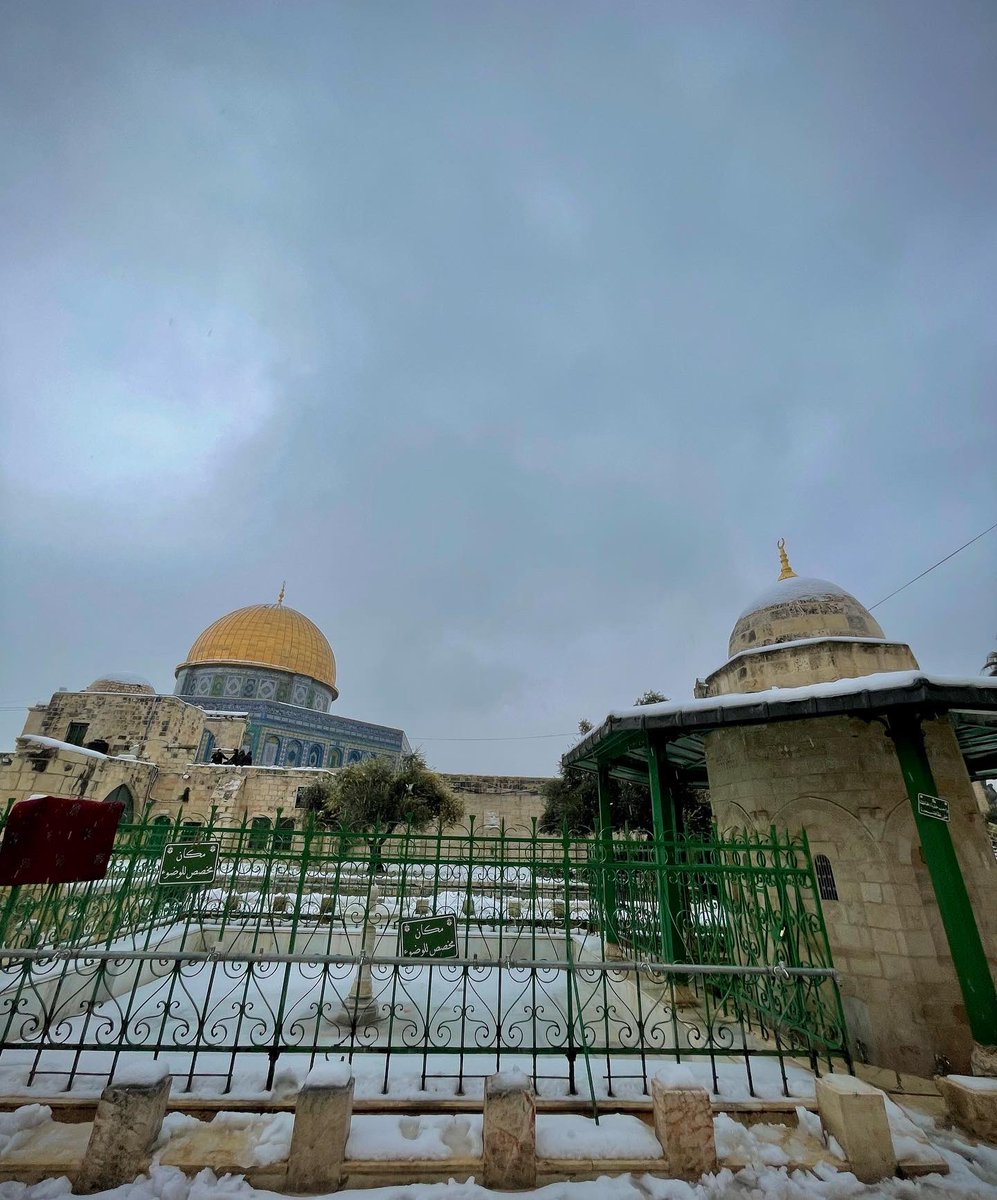 Latifeh Abdellatif (@latifehal) on Twitter photo 